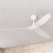 Haiku-L DC Ceiling Fan